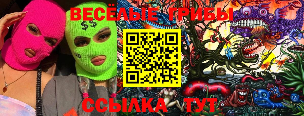 Саянск  Псилоцибиновые грибы ЛСД  наркотики  Псилоцибиновые грибы мицелий  Вход с VPN 